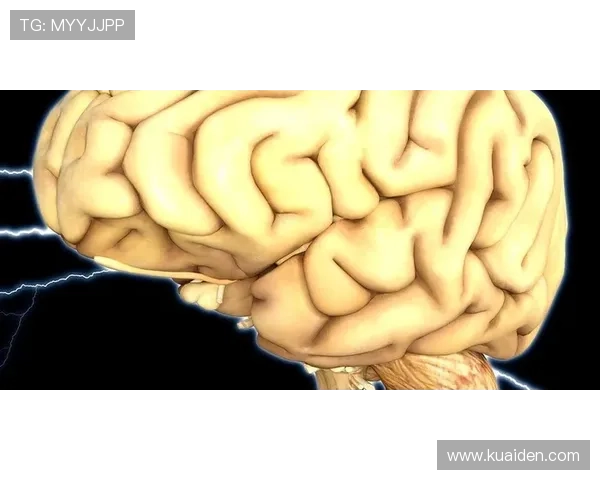 新赛季焦点战来临国足与豪门球队动态引发球迷热议持续升温赛场